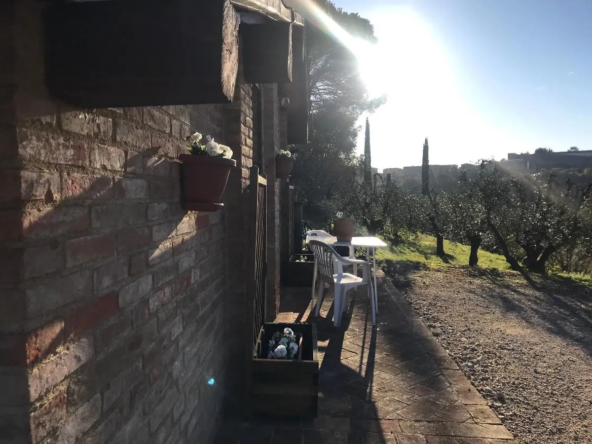 La Perla Tra Gli Ulivi Lägenhet Siena