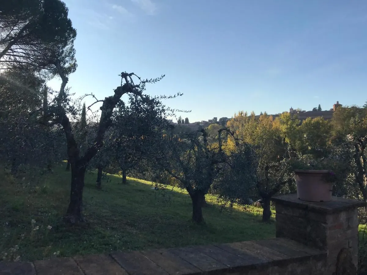 La Perla Tra Gli Ulivi Apartment Siena